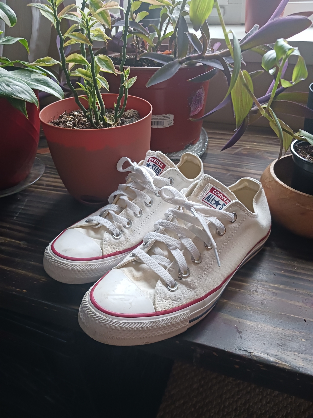 Converse Cream Low Top Sneakers with Blue Logo
